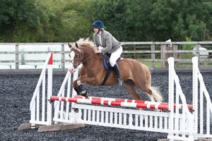 Class 6 - Fences not above 2'9